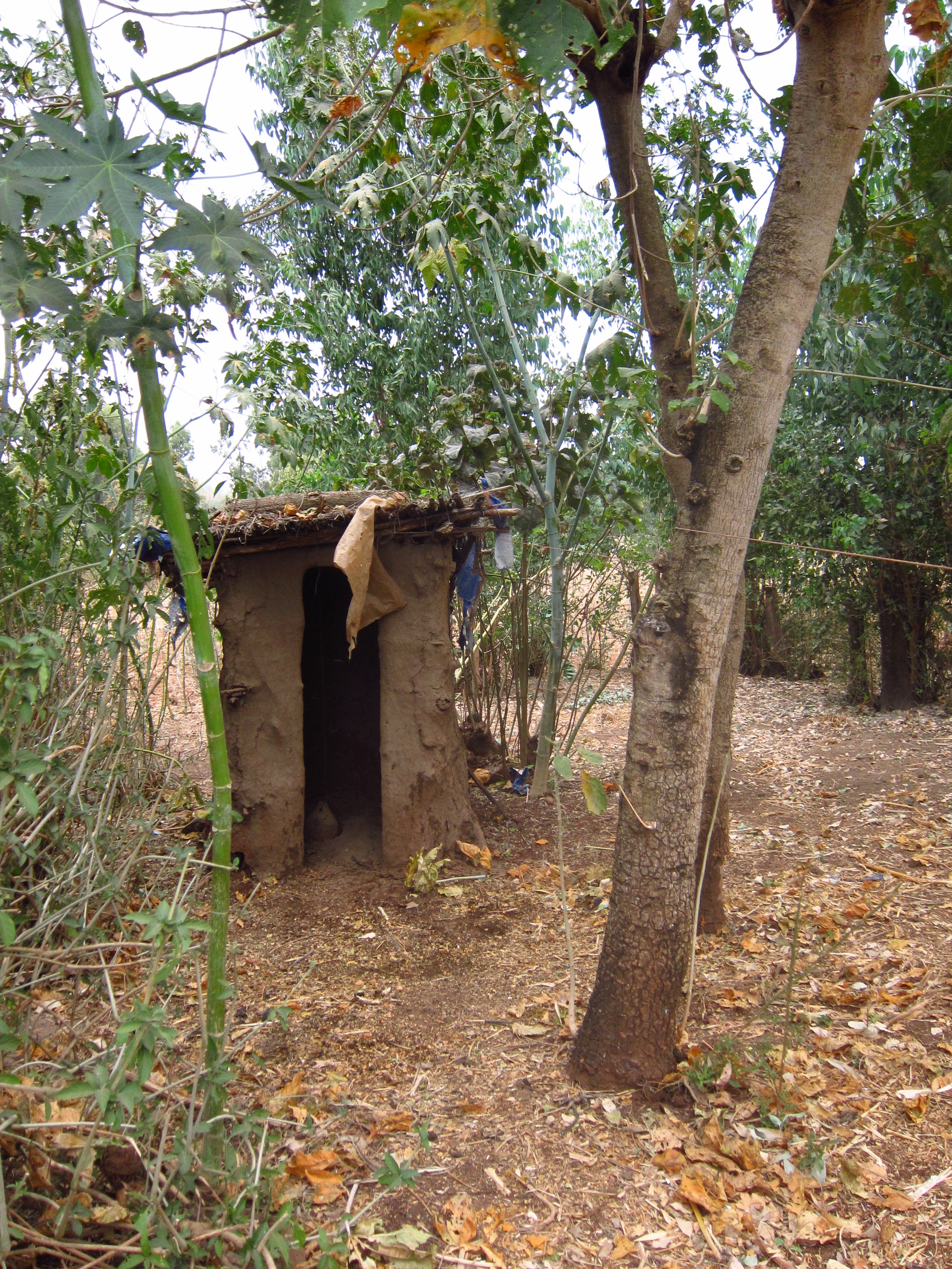 A toilet in Amhara, Ethiopia