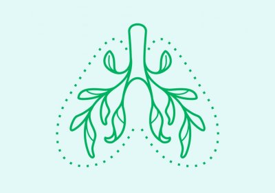 graphic of green lungs with leaves for bronchioles