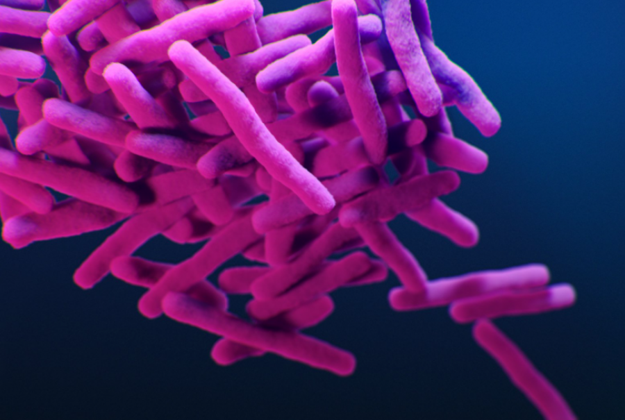 Photo credit: Canva - Medical illustration of drug-resistance bacteria, courtesy of the public health image library, CDC