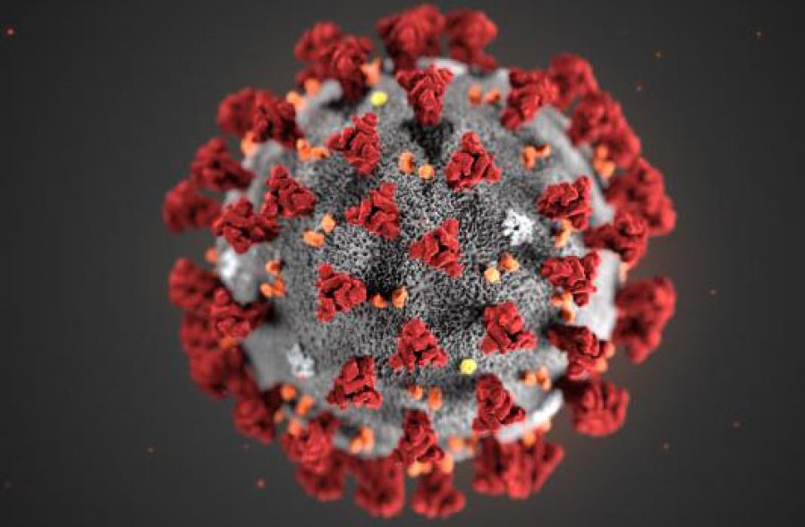 caption: illustration of coronavirus. Credit: CDC/Alissa Eckert
