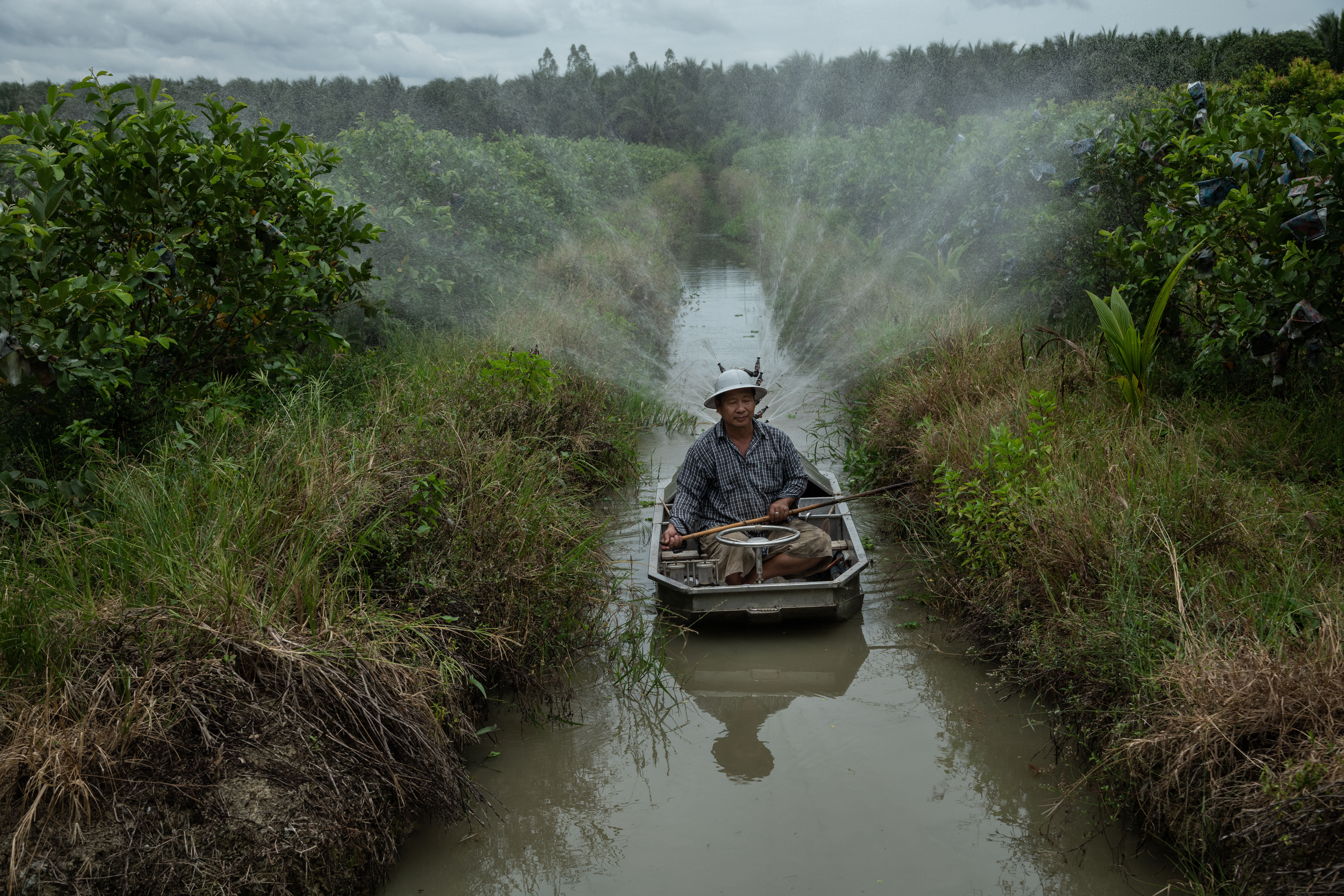 A farmer is watering his vegetables on a farm in Ratchaburi, Thailand. The farmer travels the canal spraying a mix of pesticides and fertilizers.  Photo by Arun Roysri