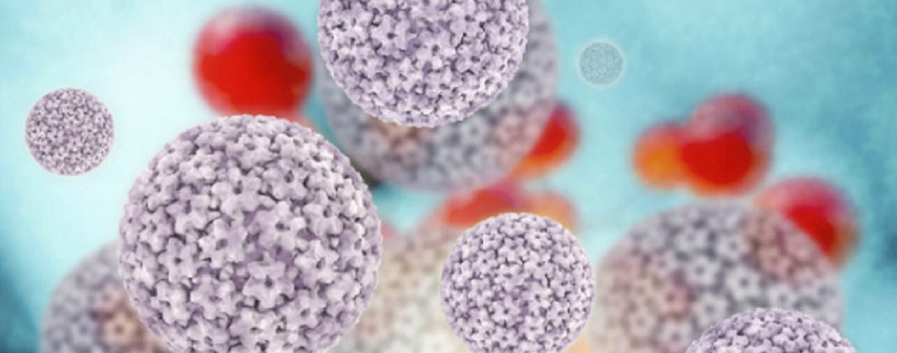 Papilloma virus - 3d rendered illustration - Stock image