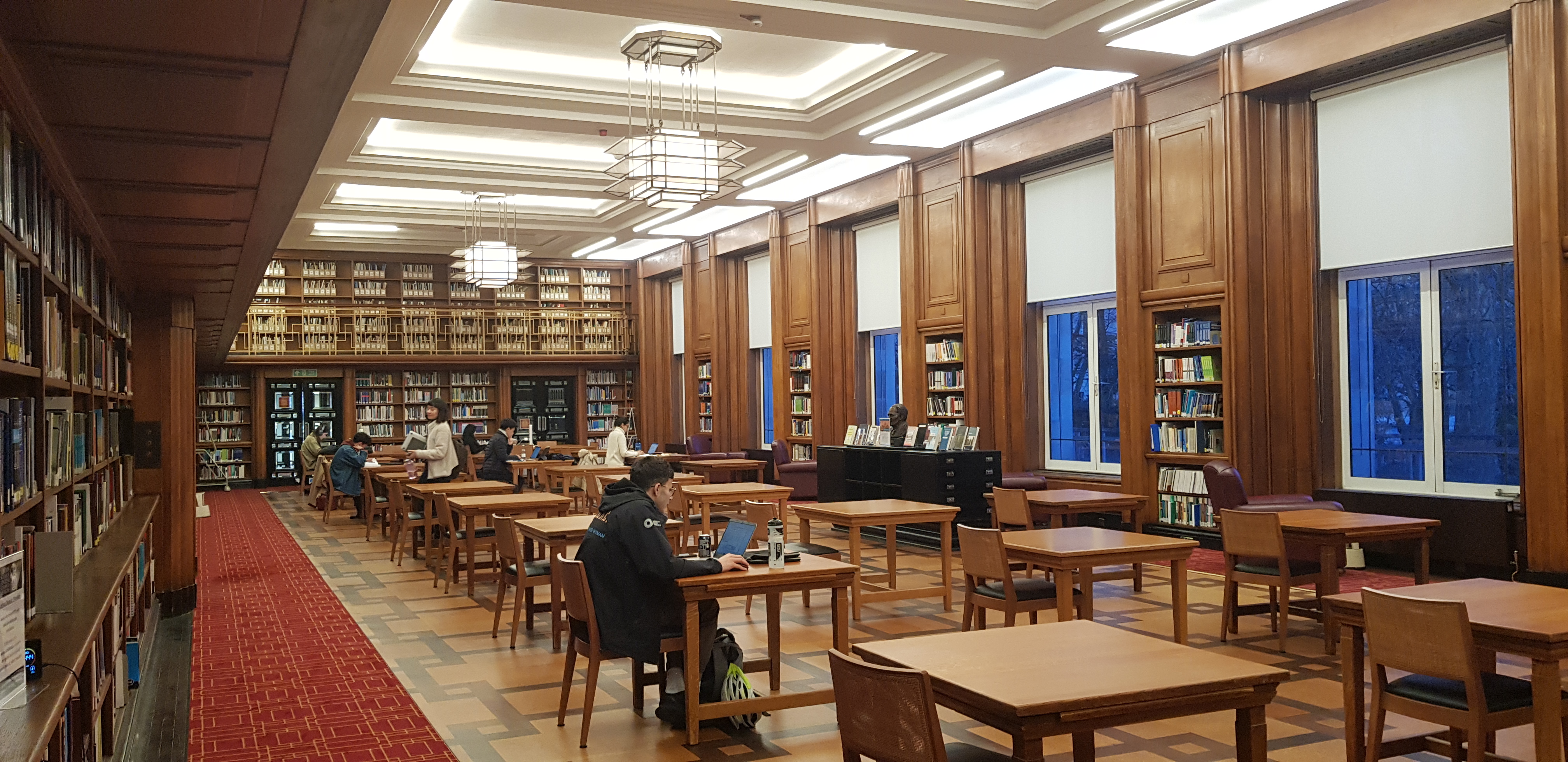 Student studying at LSHTM library, photo by Lea Mansour