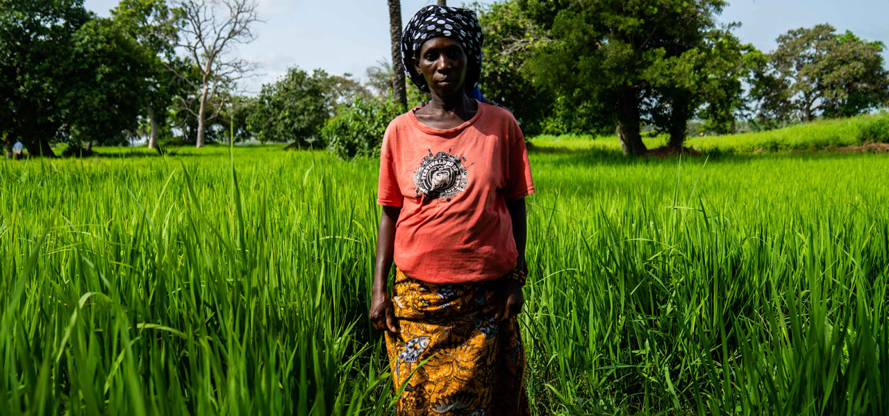 Mother walks through her paddy field back to her home in Keneba, The Gambia. Credit: Louis Leeson/LSHTM