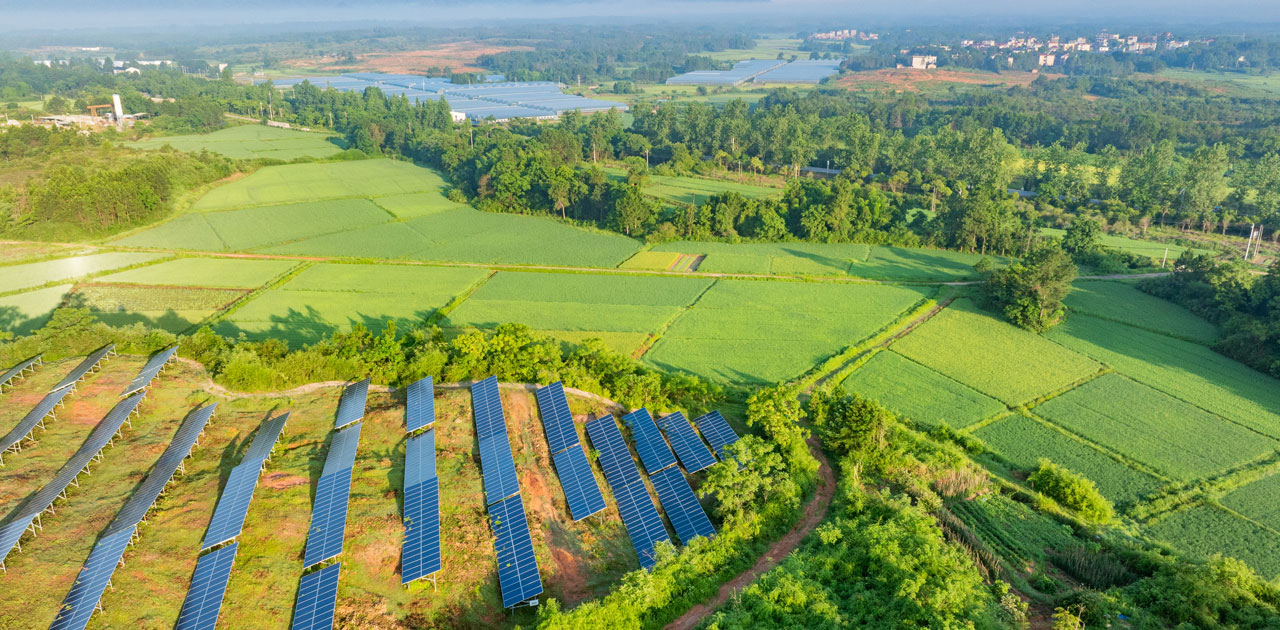 Solar photovoltaic panels on a hillside at sunrise. Credit: istock.com/KE ZHUANG