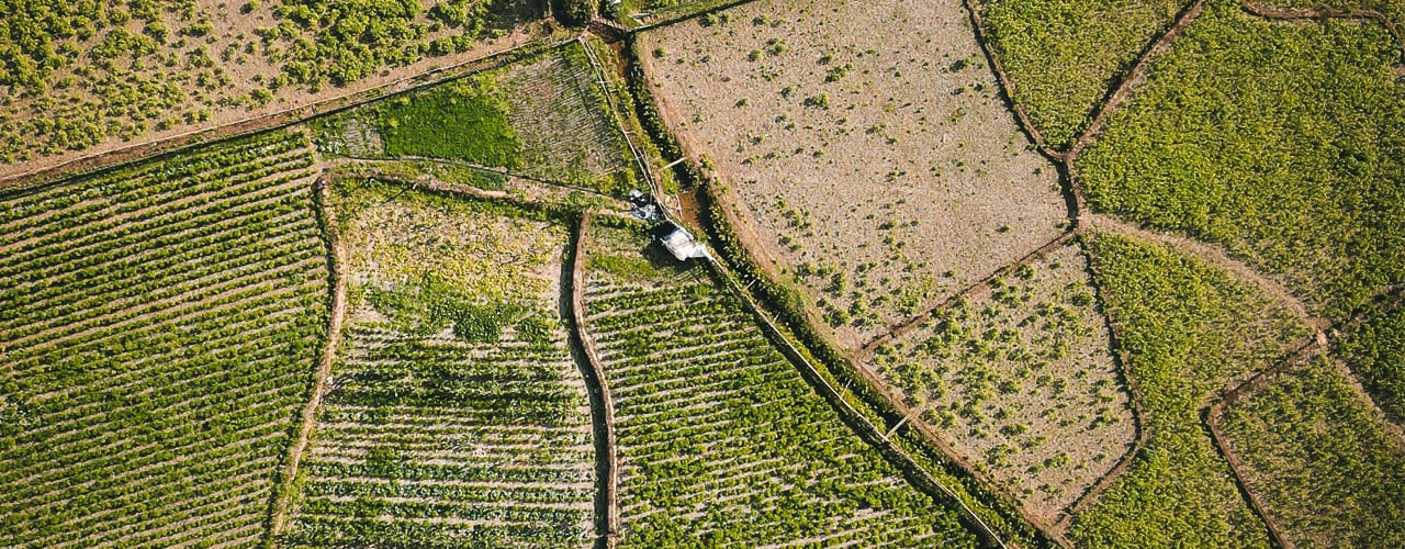 Aerial view of patchwork agricultural fields with small buildings. Credit: Kevin Charit via Unsplash 