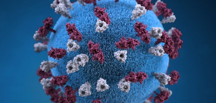 3D representation of measles virus particle studded with glycoprotein tubercles.