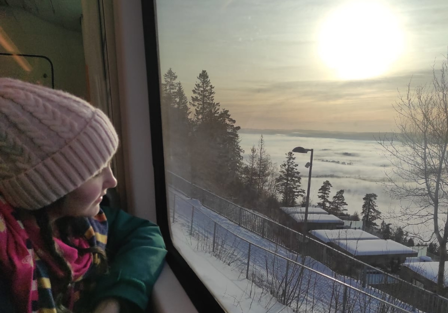 Hannah on a train looking of out window to a sunny view of frozen land.