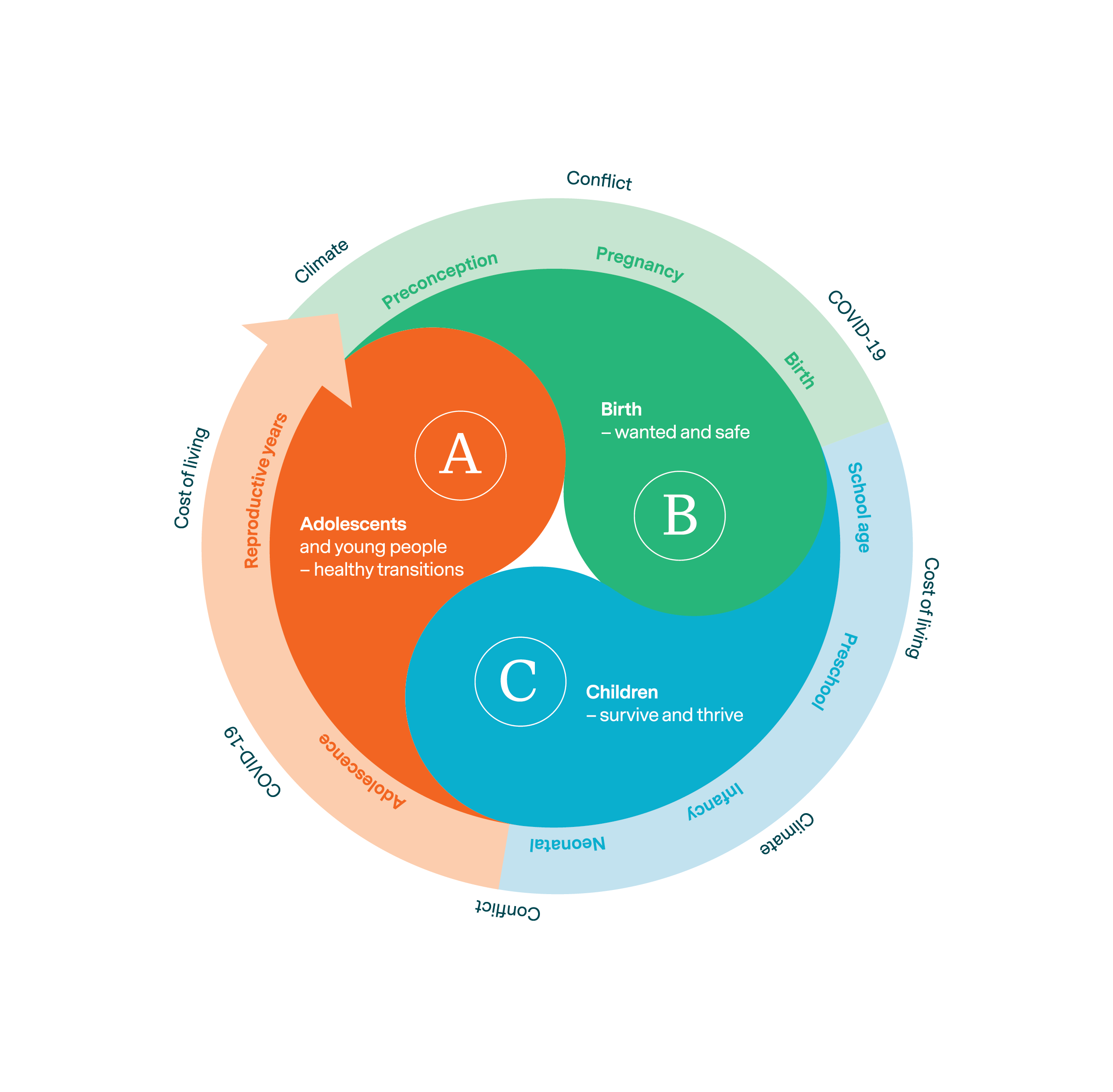 Three tear drop shapes with A (adolescent), B (Birth) or C (Child) written on top each. Around these shaped, the main content of each theme is written around in a circle, which is then enclosed by a white circle which has the four interconnected health determinants that impact health