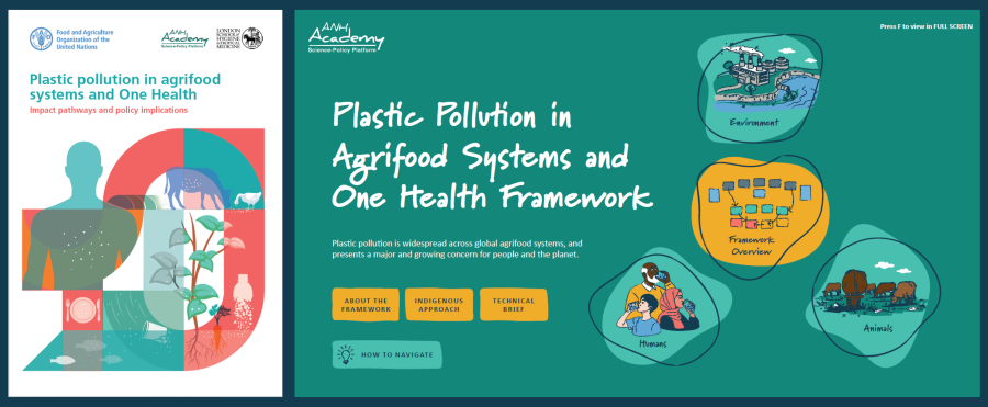 Image of new FAO document and ANH framework