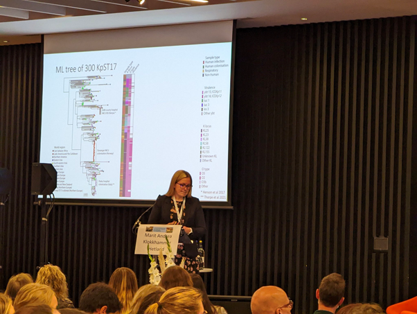 Marit Hetland at a podium, a slide with a phylogeny projected behind her, presenting her work on drug resistant Klebsiella pneumoniae ST17.  The audience can be seen watching her presentation in the lower section of the photo