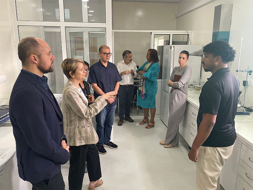 UK-PHRST visit Cabo Verde project. Individuals standing around talking in a lab. 