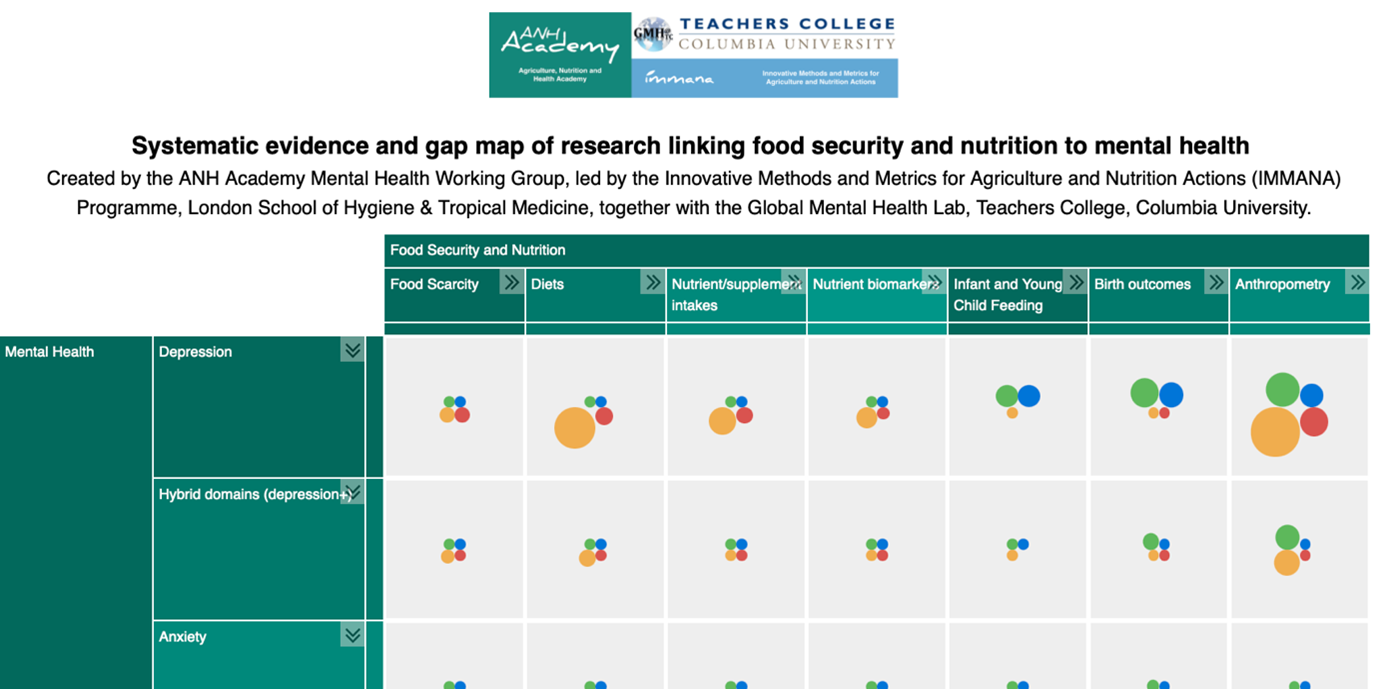 Example of an Evidence and Gap Map of research linking food security and nutrition with mental health.