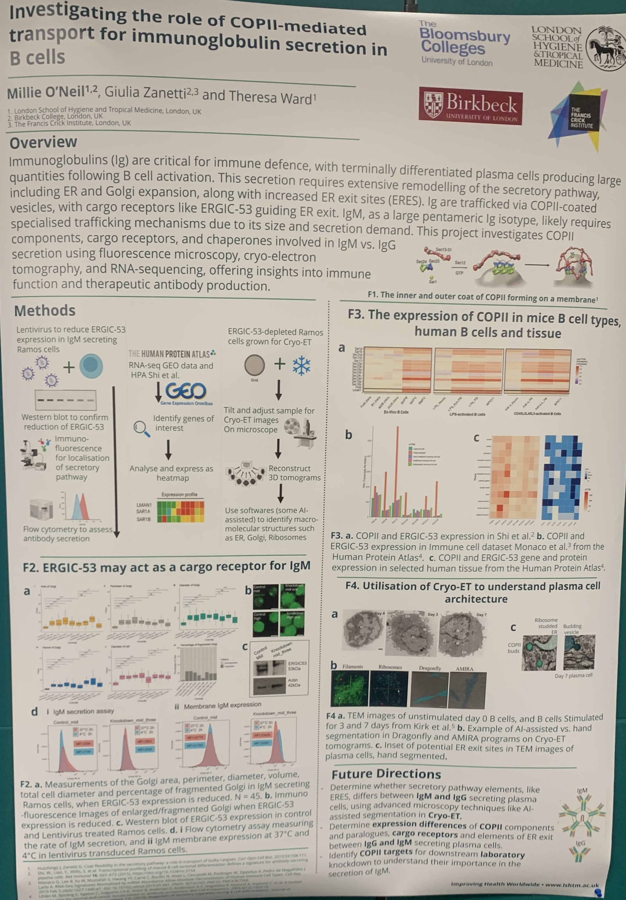 A picture of poster about thesis, which is presented at the Bloomsbury Symposium.