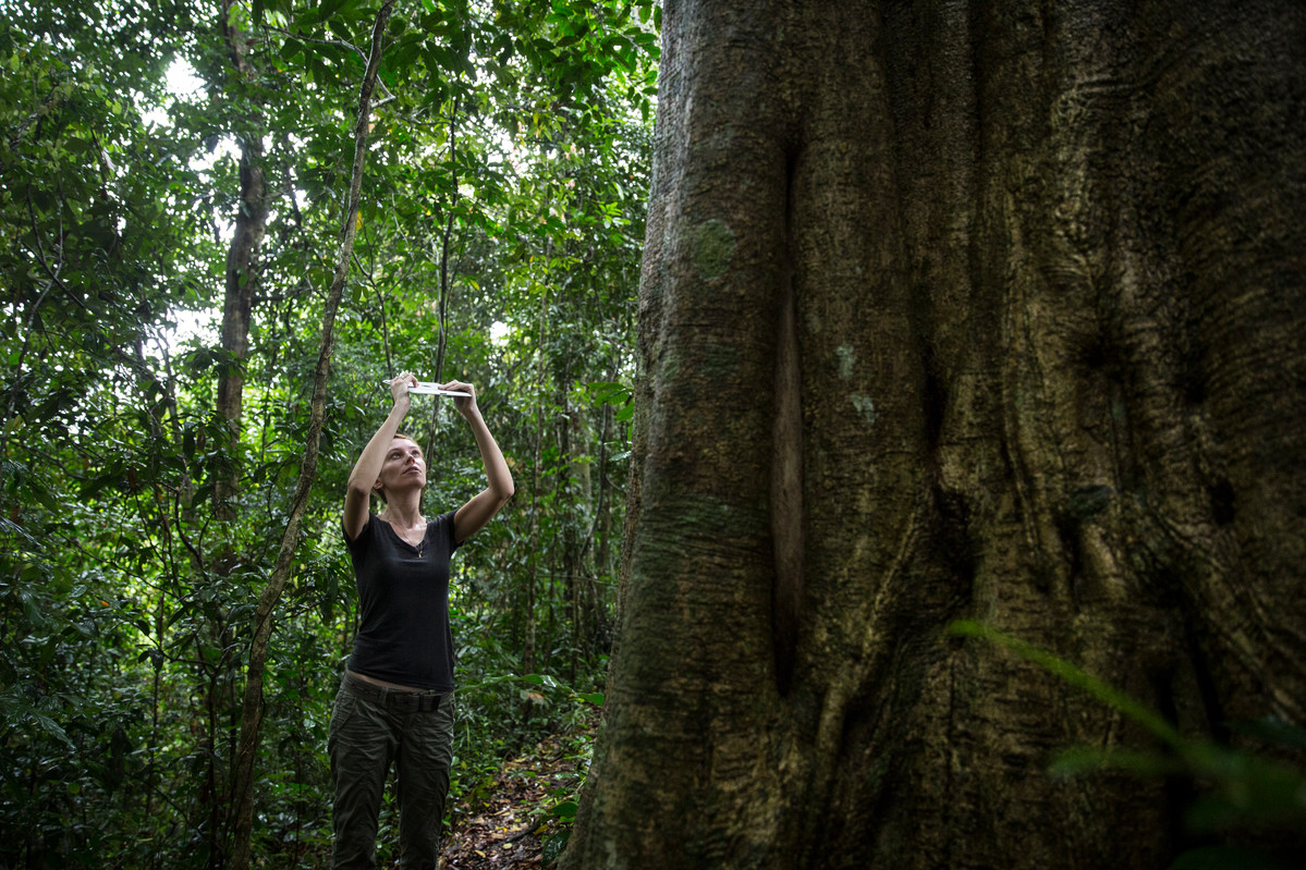 Kimberly Fornace a LSHTM research fellow under the MONKEYBAR project takes a photograph of the rainforest canopy for ground-truthing satellite and drone data at a rainforest in Malaysia