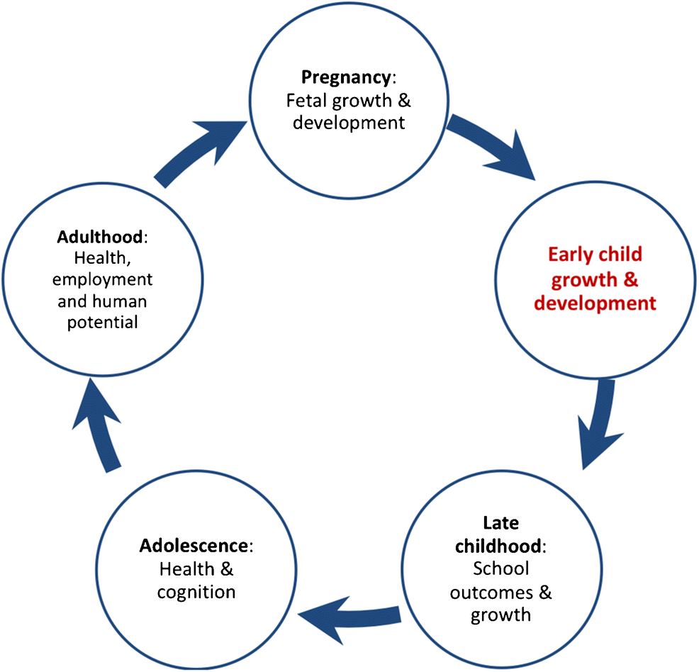Lifecycle approach to child development taken from: Growth and Neurodevelopment of HIV-Exposed Uninfected Children: a Conceptual Framework