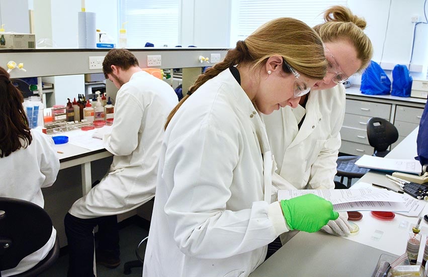 Students in lab