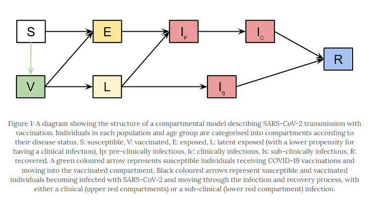 Figure 1: A diagram showing the structure of a compartmental model describing SARS-CoV-2 transmission with vaccination.