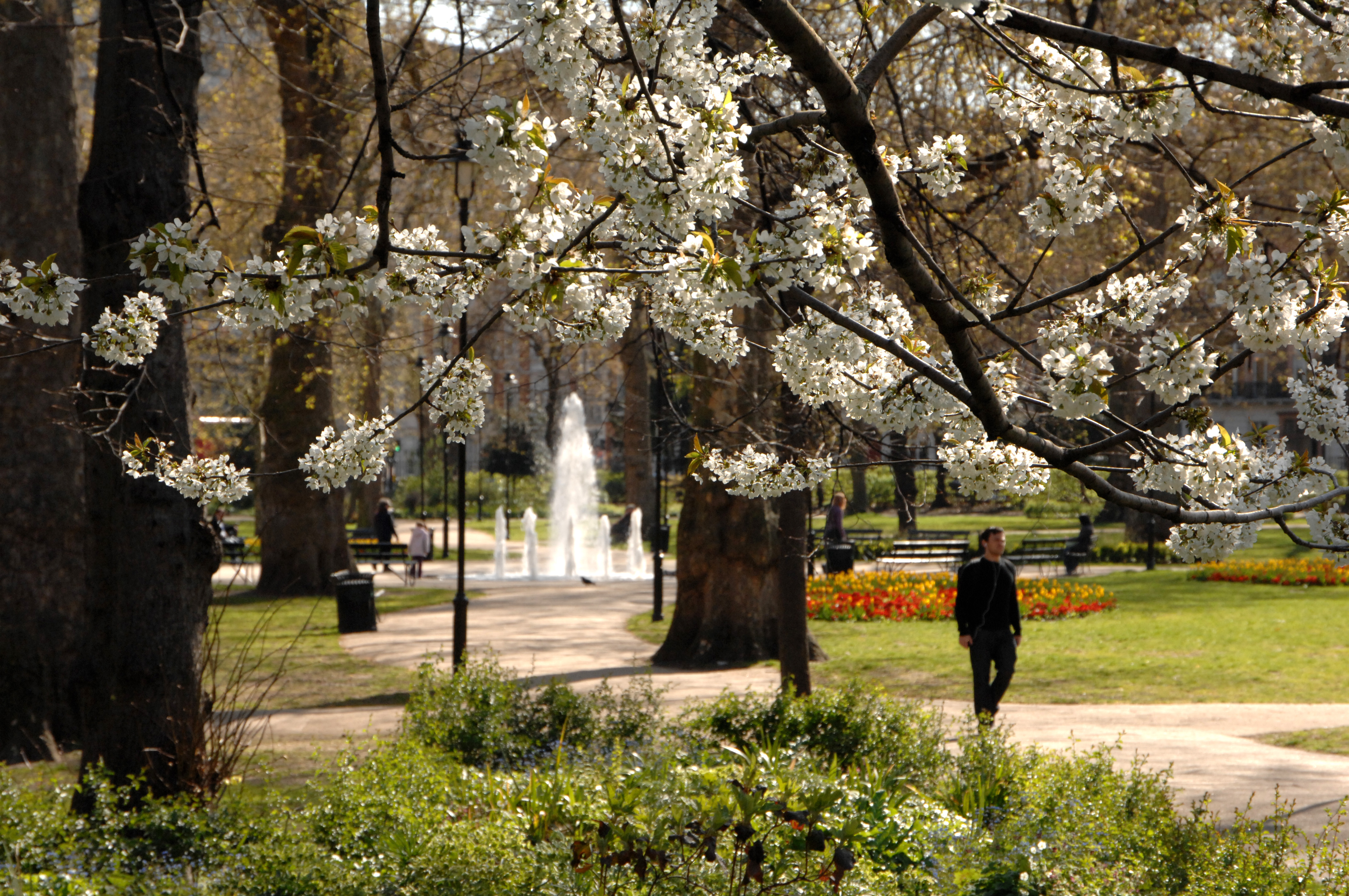 Russell Square in spring is an ideal place to relax