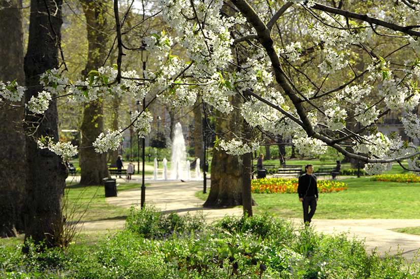 Russell Square in spring is an ideal place to relax