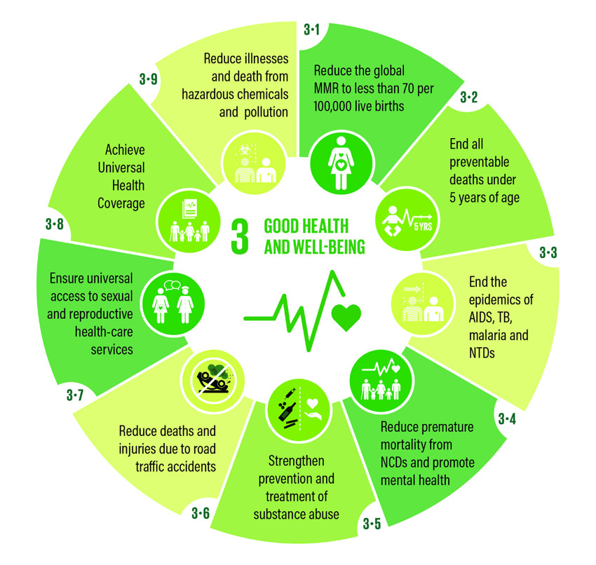 good health and well being sustainable development goals essay