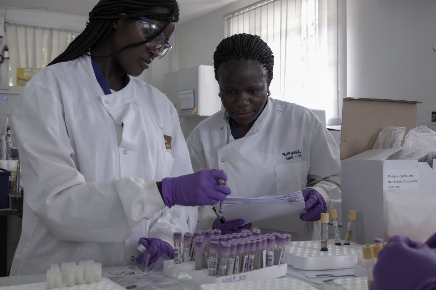 Scientists at MRC/UVRI & LSHTM Uganda Research Unit in Entebbe preparing blood samples for analysis