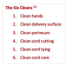 The six cleans in childbirth