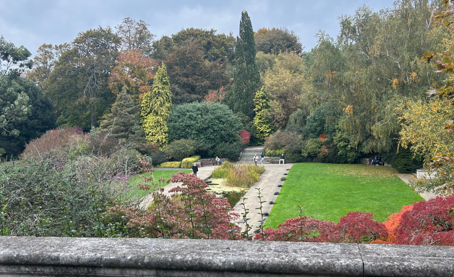 A park in London at Autumn.