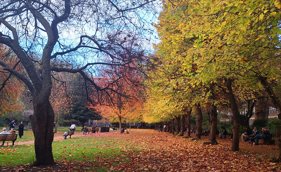 Gordon Square Gardens during Autumn Season