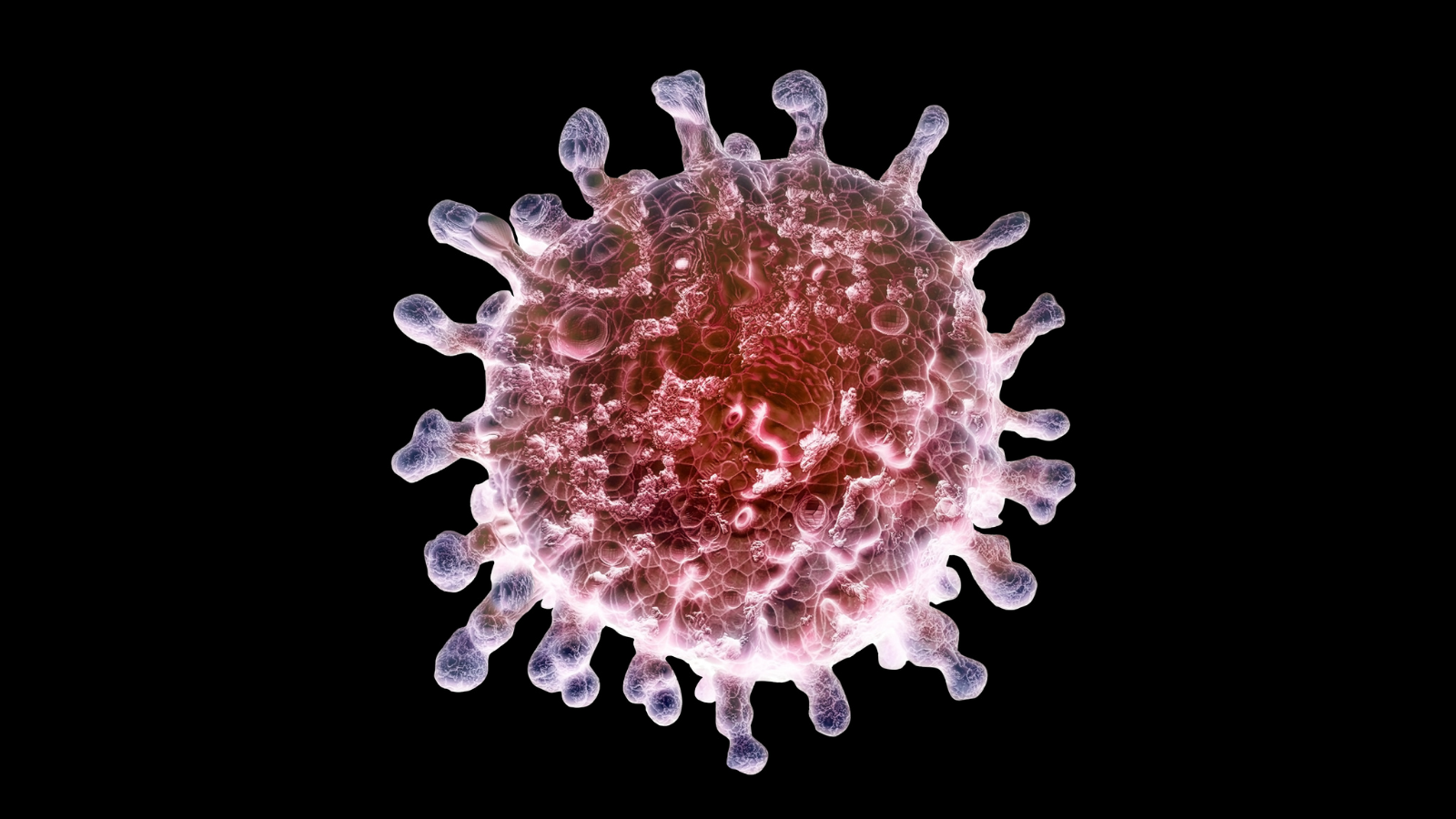 3D visualisation of COVID-19. Credit: CDC/Alissa Eckert