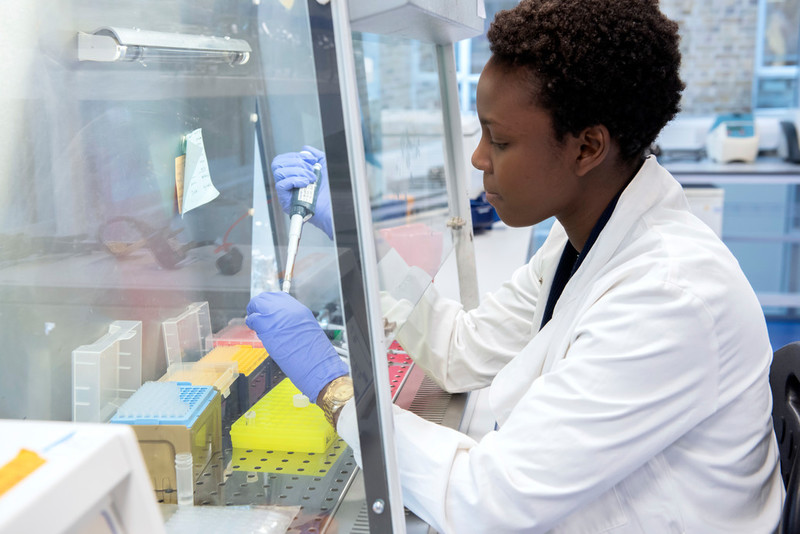 Scientists working at the LSHTM malaria lab