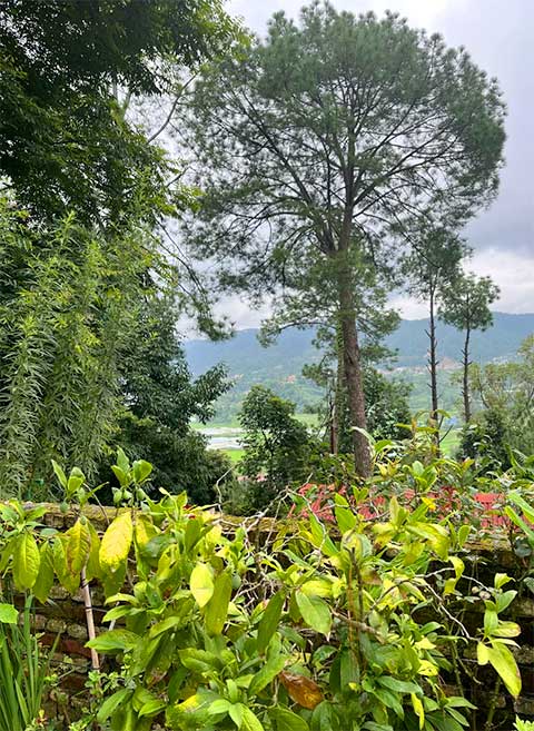 Anandaban gardens