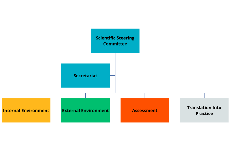 Organigramme with coloured boxes representing the Scientific Steering Committee, Secretariat and four working groups 