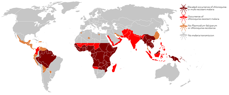 Malaria prevalence by drug resistance