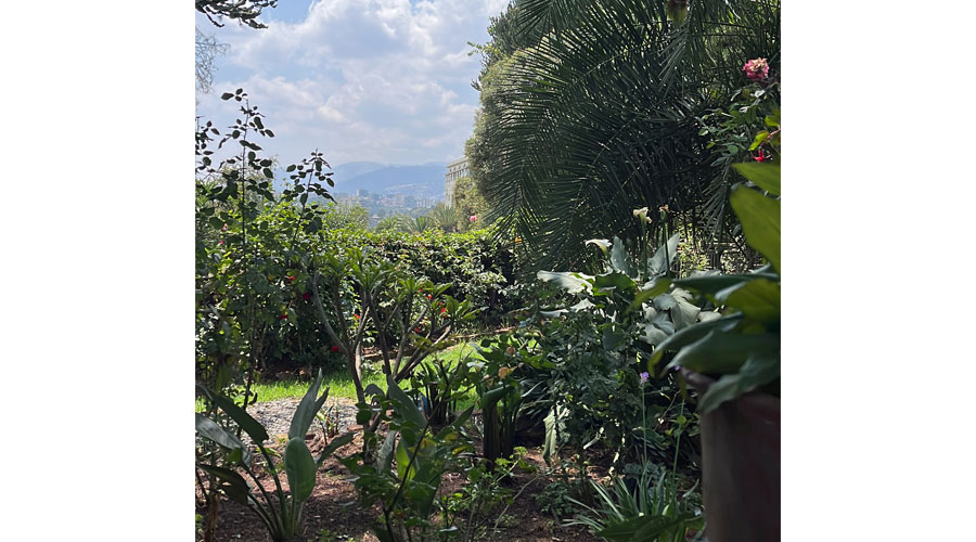 Garden in Addis Ababa