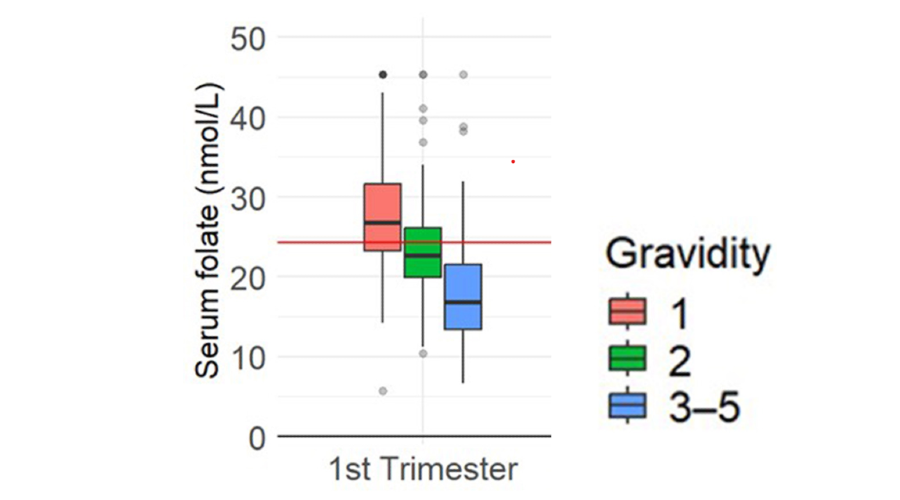 Graph showing maternal serum folate concentration by trimester and gravidity
