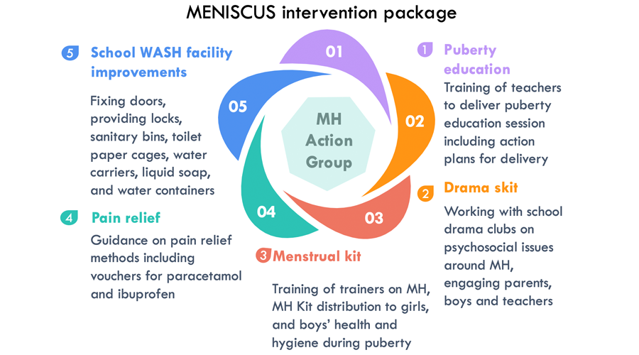 A diagram showing the 5 components of the intervention with a brief description of each. The 5 components are puberty education, drama skit, menstrual kit, pain relief, and school WASH facility improvements 