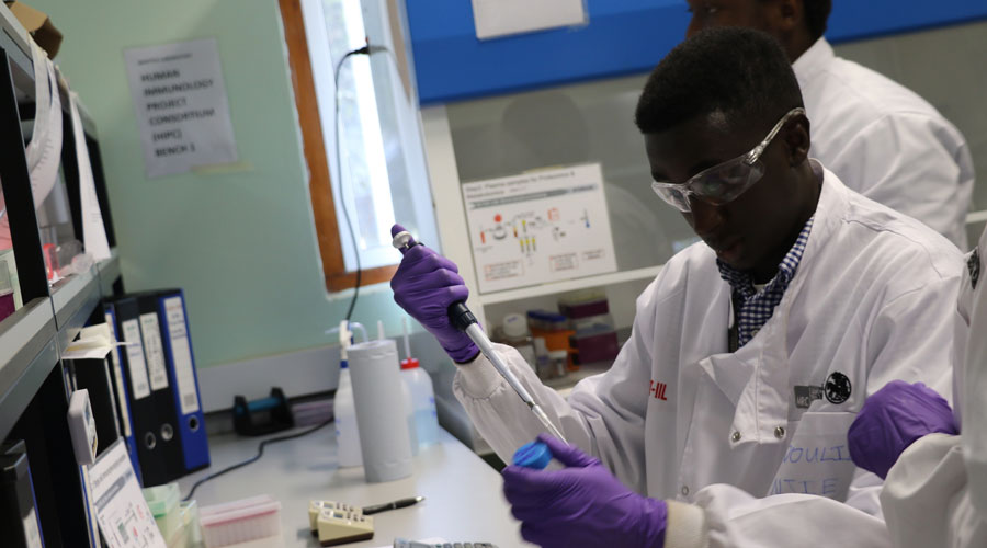 A researcher working in the laboratory facilities at the LSHTM MRC Gambia unit