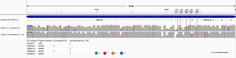 MRC Gambia News Mutations S-gene Covid-19 Figure A