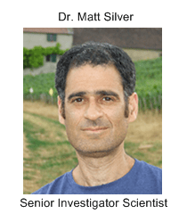 MRC Gambia Staff - Dr Matt Silver