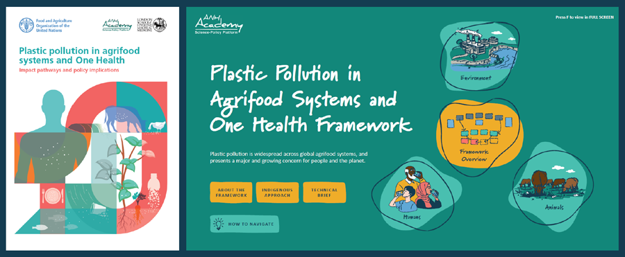 Nutrition Group graphic