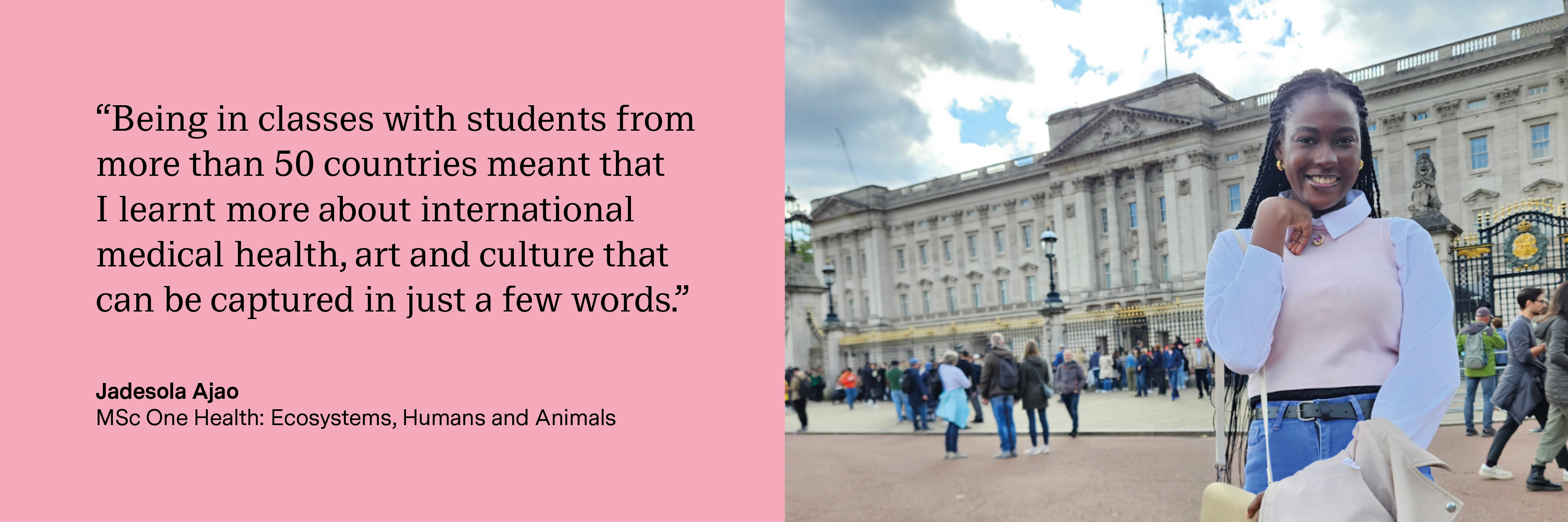 “Being in classes with students from more than 50 countries meant that I learnt more about international medical health, art and culture that can be captured in just a few words.” Jadesola Ajao, MSc One Health: Ecosystems, Humans and Animals