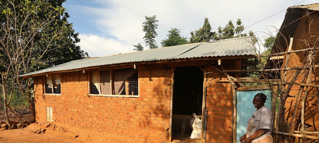 Uganda, smallholding