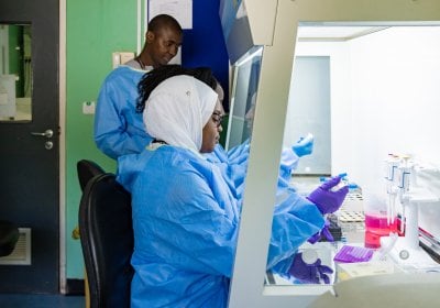 Malaria Scientist working at the Molecular Biology Laboratory 