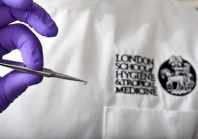  Staff working with mosquitoes in the lab