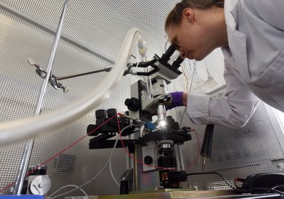 Staff working with mosquitoes in the lab