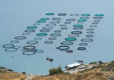 Fish farming near Amarynthos, Euboea, Greece