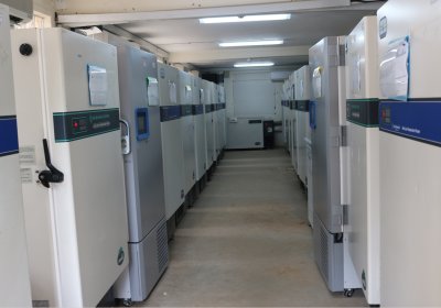 Some of the freezers where majority of the sample specimens are stored