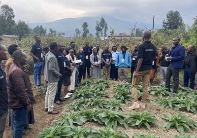 A group of black men and women stand around a patch of vegetables