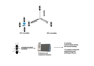 new "Ant"imicrobials
